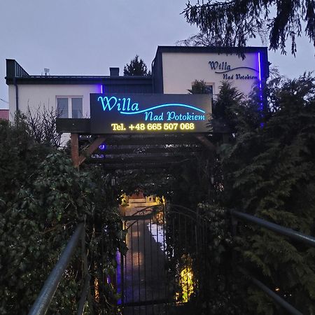 Willa Nad Potokiem Kudowa-Zdroj Dış mekan fotoğraf
